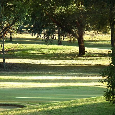 Cobram Barooga Golf Resort Rom bilde