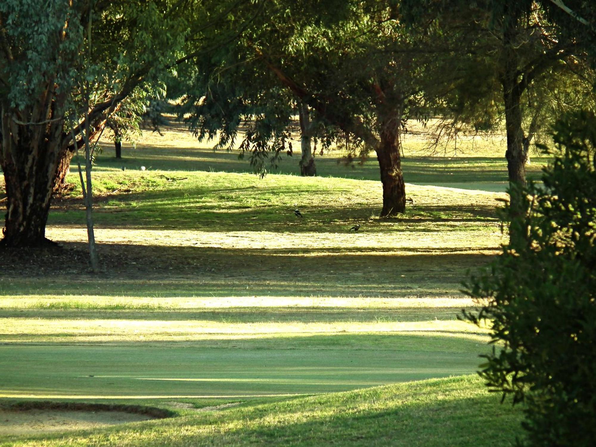 Cobram Barooga Golf Resort Rom bilde